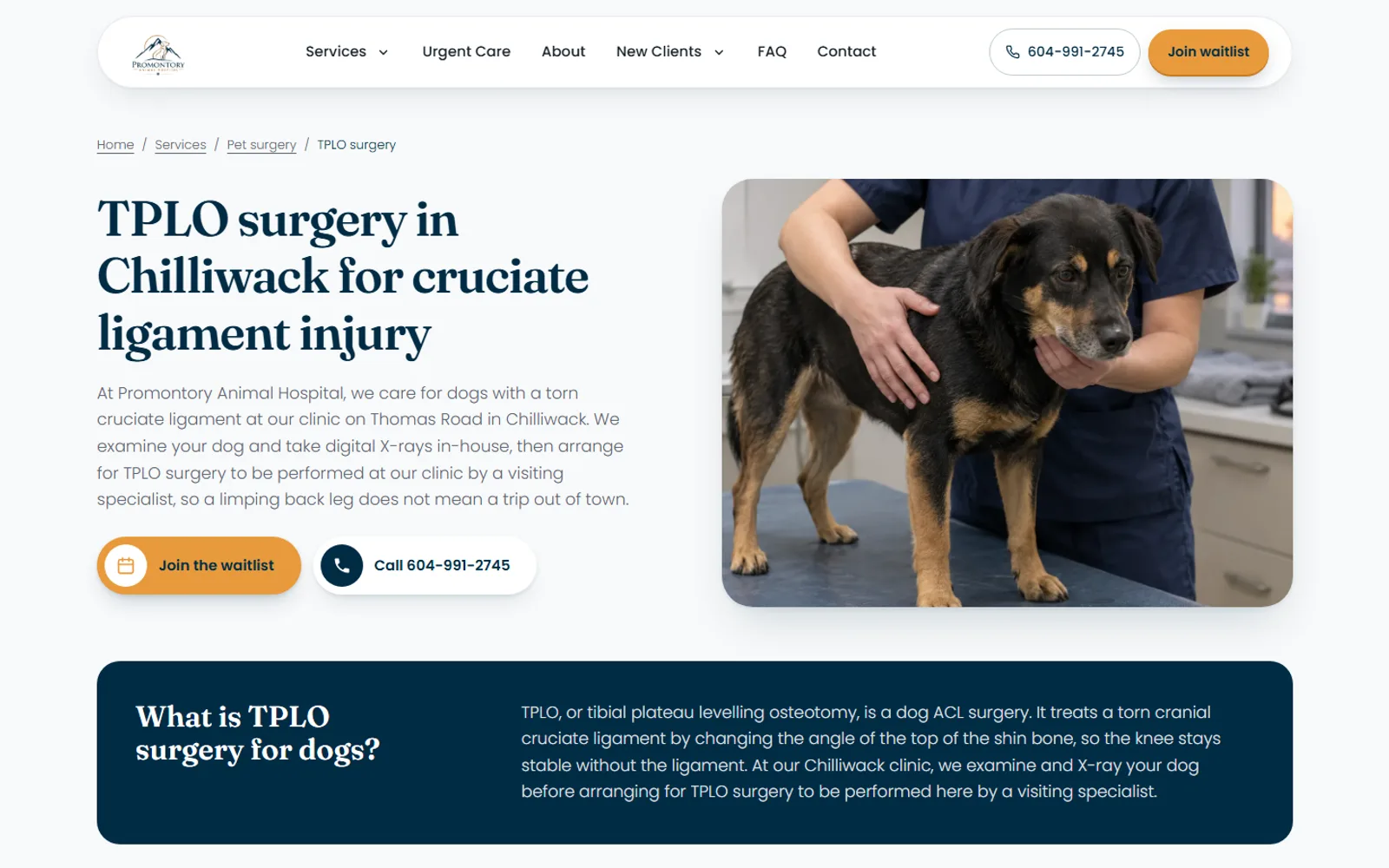 Promontory Animal Hospital TPLO surgery service page with a plain-language answer block