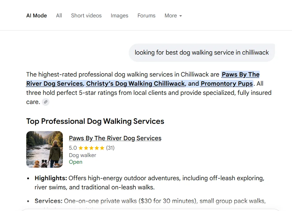 Google AI Mode names Paws by the River, an IshaanEx Digital client, as the highest-rated dog walking service in Chilliwack — shown 5.0 stars from 31 reviews