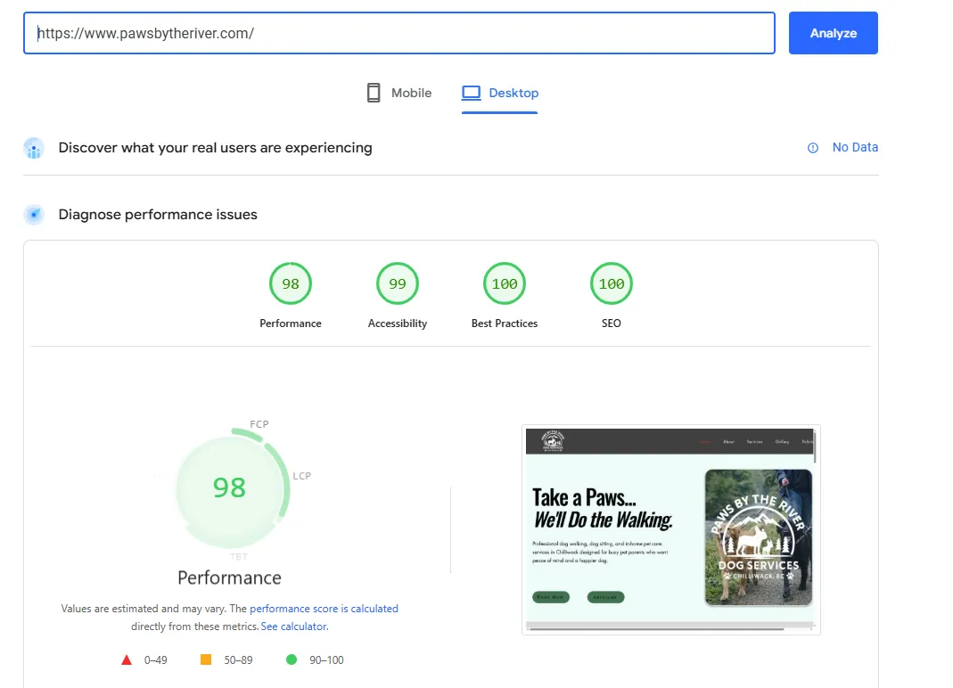Google PageSpeed Insights report for pawsbytheriver.com showing perfect 100 of 100 Google SEO audit score — verified 2026-04-19